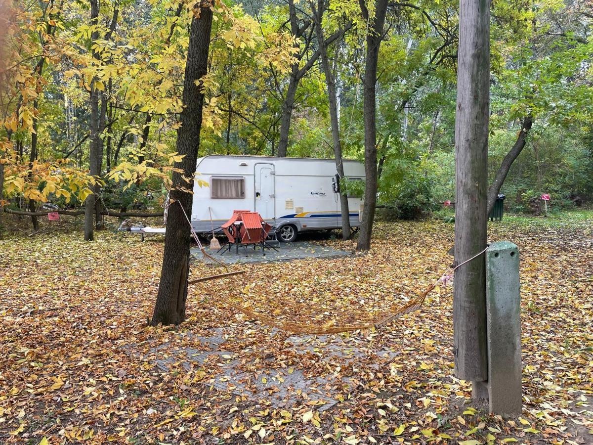 Tisza Beach Wild Camping 2 Szeged Exterior foto